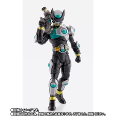 S.H.Figuarts (SHINKOCCHOU SEIHOU) Kamen Rider Birth