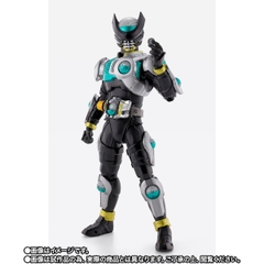 S.H.Figuarts (SHINKOCCHOU SEIHOU) Kamen Rider Birth
