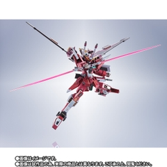 METAL ROBOT SPIRITS <SIDE MS> Infinite Justice Gundam 20th Anniversary Ver.