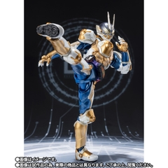 S.H.Figuarts Kamen Rider Gazer