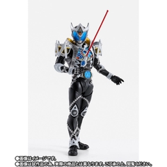 S.H.Figuarts (SHINKOCCHOU SEIHOU) Kamen Rider Saga