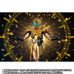 S.H.Figuarts Kamen Rider Legend