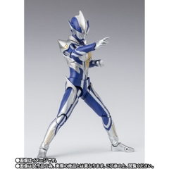 S.H.Figuarts Hunter Knight Tsurugi