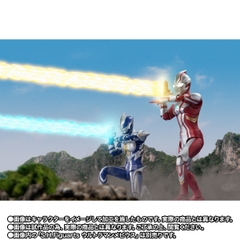 S.H.Figuarts Hunter Knight Tsurugi