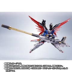 METAL ROBOT SPIRITS <SIDE MS> Zeus Silhouette