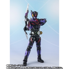 S.H.Figuarts Kamen Rider Horobi Ark Scorpion Final Battle Weapons Set