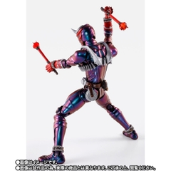 S.H.Figuarts (SHINKOCCHOU SEIHOU) Kamen Rider Hibiki 10th Anniversary Ver.