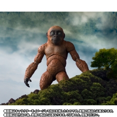 S.H.MonsterArts Suko & Mothra (2024) From Godzilla x Kong: The New Empire