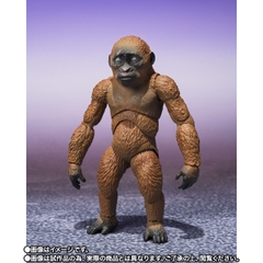 S.H.MonsterArts Suko & Mothra (2024) From Godzilla x Kong: The New Empire