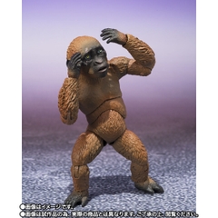 S.H.MonsterArts Suko & Mothra (2024) From Godzilla x Kong: The New Empire