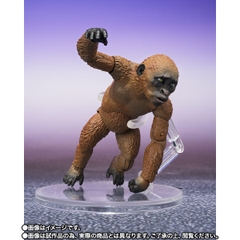 S.H.MonsterArts Suko & Mothra (2024) From Godzilla x Kong: The New Empire