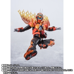 S.H.Figuarts Kamen Rider Fire Gotchard Daybreak/ Gotchard Daybreak Steam Hopper
