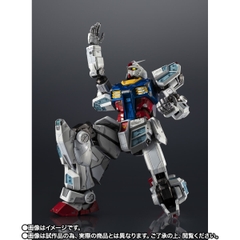 EXPO2025 CHOGOKIN RX-78F00/E Gundam