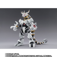 S.H.Figuarts Galactron
