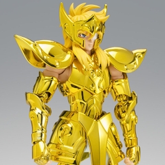SAINT CLOTH MYTH EX Aquarius Hyoga -Inheritor Of The Gold Cloth-