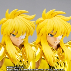 SAINT CLOTH MYTH EX Aquarius Hyoga -Inheritor Of The Gold Cloth-