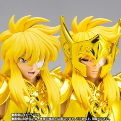 SAINT CLOTH MYTH EX Aquarius Hyoga -Inheritor Of The Gold Cloth-