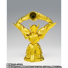 SAINT CLOTH MYTH EX Aquarius Hyoga -Inheritor Of The Gold Cloth-