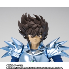 SAINT CLOTH MYTH EX Odin Seiya