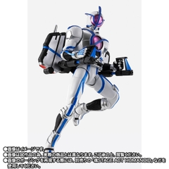 S.H.Figuarts (SHINKOCCHOU SEIHOU) Kamen Rider Psyga