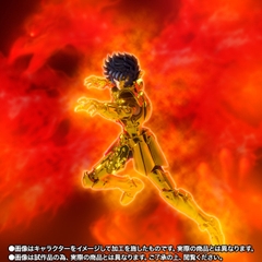 SAINT CLOTH MYTH EX Leo Ikki -Inheritor Of The Gold Cloth-