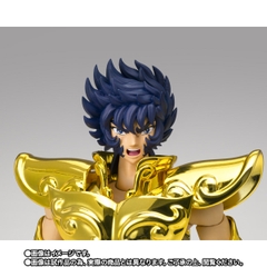 SAINT CLOTH MYTH EX Leo Ikki -Inheritor Of The Gold Cloth-