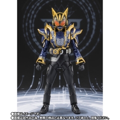 S.H.Figuarts Kamen Rider Na-Go Fantasy Form