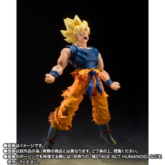 S.H.Figuarts Super Saiyan Son Goku (Fighter of Rage)