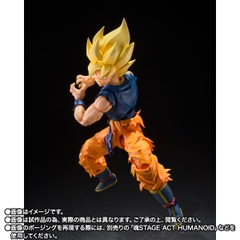 S.H.Figuarts Super Saiyan Son Goku (Fighter of Rage)