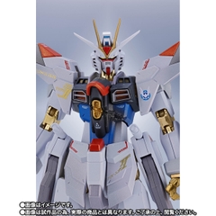 METAL ROBOT SPIRITS <SIDE MS> Mighty Strike Freedom Gundam Final Battle Ver.