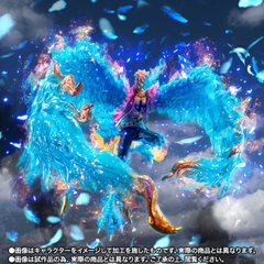 S.H.Figuarts Marco -Marineford-