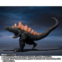 S.H.MonsterArts Godzilla (2004) Heat Ray Ver. VS New Gotengo