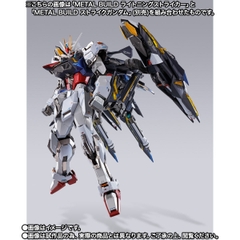 METAL BUILD Lightning Striker