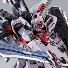 METAL BUILD Strike Rouge + Ootori Striker