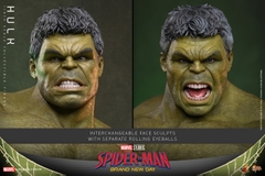 [Pre-order] [Movie Masterpiece] (Spider-Man: Brand New Day) 1/6 Scale Figure Hulk