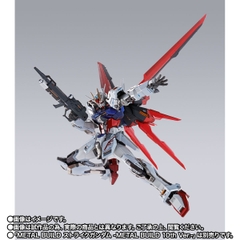 METAL BUILD Aile Striker -METAL BUILD 10th Ver.-