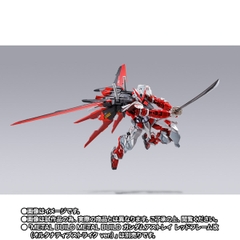METAL BUILD Aile Striker -METAL BUILD 10th Ver.-