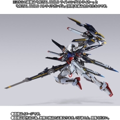 METAL BUILD Lightning Striker