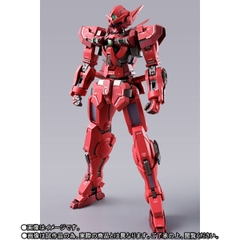 METAL BUILD Gundam Astraea TYPE-F (GN HEAVY WEAPON SET)