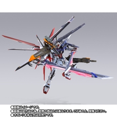 METAL BUILD Strike Rouge + Ootori Striker