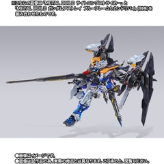 METAL BUILD Lightning Striker