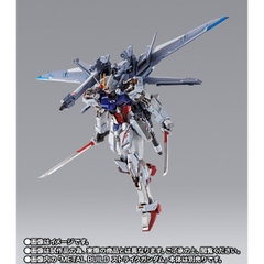 METAL BUILD I.W.S.P. [Integrated Weapons Striker Pack]