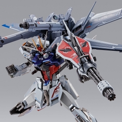 METAL BUILD I.W.S.P. [Integrated Weapons Striker Pack]