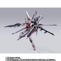 METAL BUILD Strike Rouge + Ootori Striker