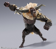 S.H.MonsterArts Furious Rajang