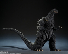 S.H.MonsterArts Godzilla (1989) "Godzilla Vs. Biollante" -Movie Graphic Plus-