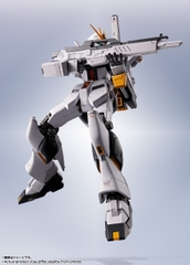METAL ROBOT SPIRITS <SIDE MS> v Gundam