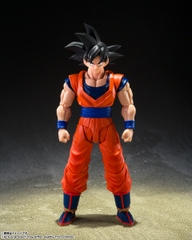S.H.Figuarts Son Goku <The Kind-hearted Saiyan>