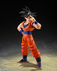 S.H.Figuarts Son Goku <The Kind-hearted Saiyan>