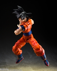 S.H.Figuarts Son Goku <The Kind-hearted Saiyan>